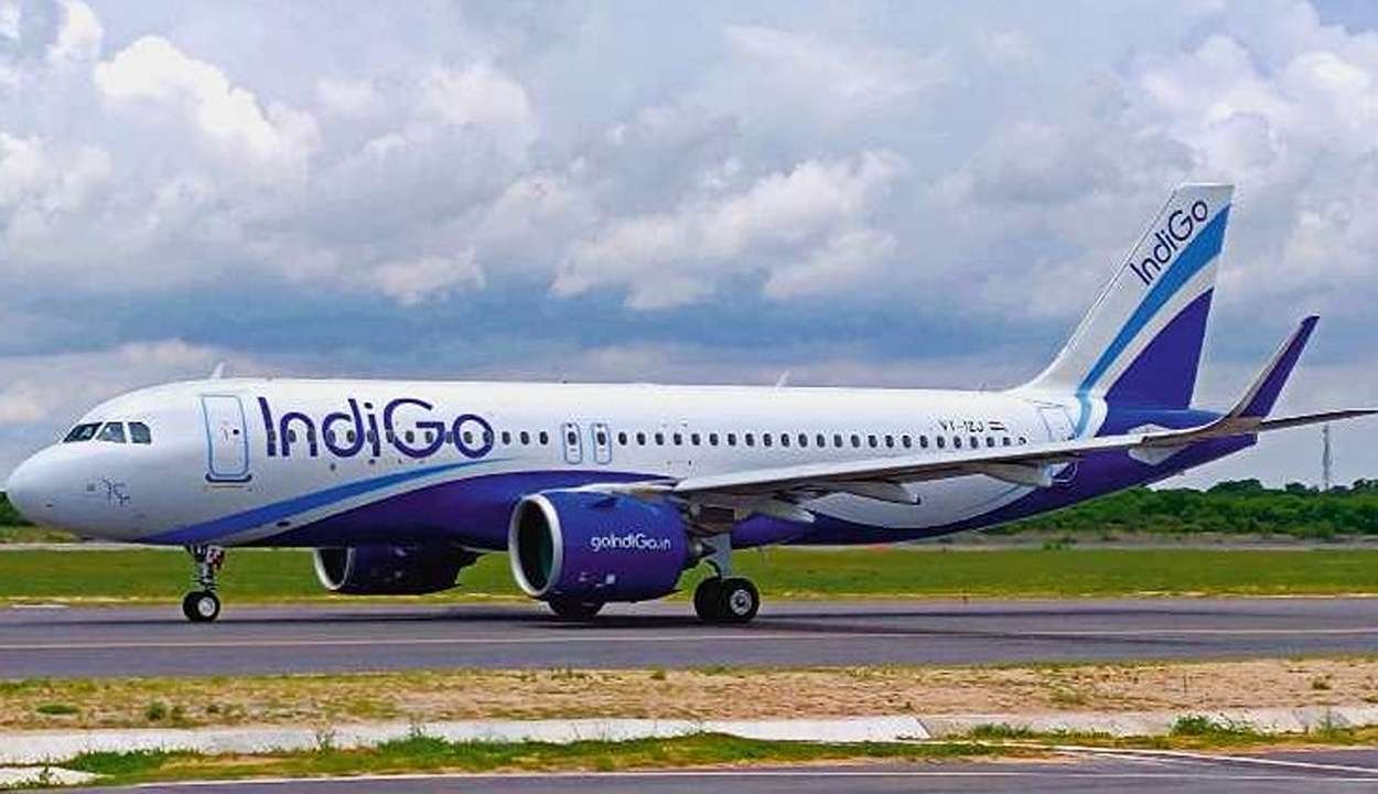 Indigo