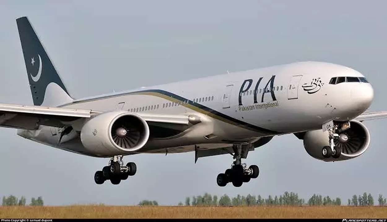 Pia