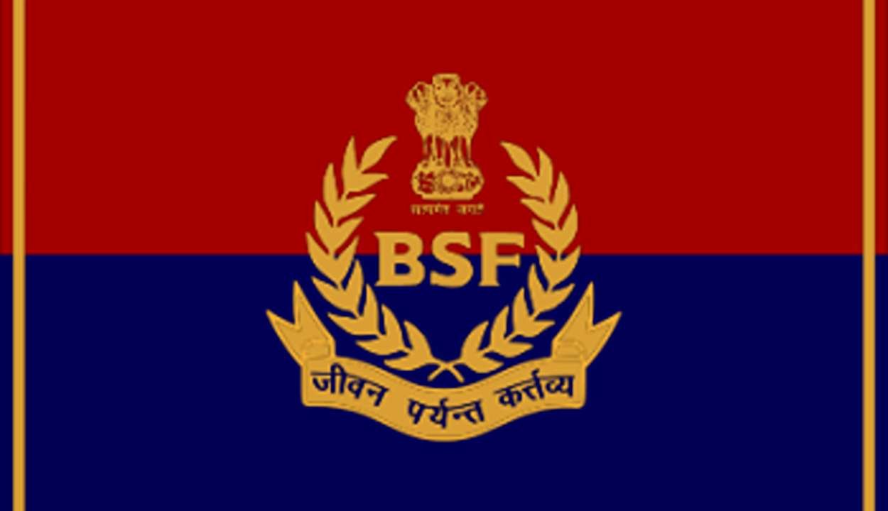 Bsf