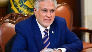 Foreign minister ishaq dar