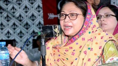 Ppp leader faryal talpur