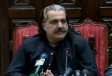 Chief minister ali amin gandapur