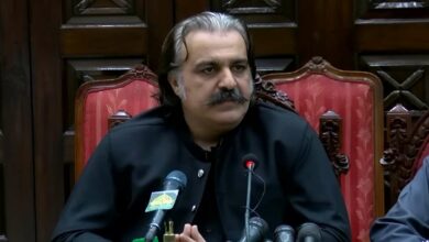 Chief minister ali amin gandapur