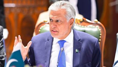 Pakistan's deputy prime minister