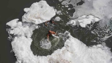 Yamuna river