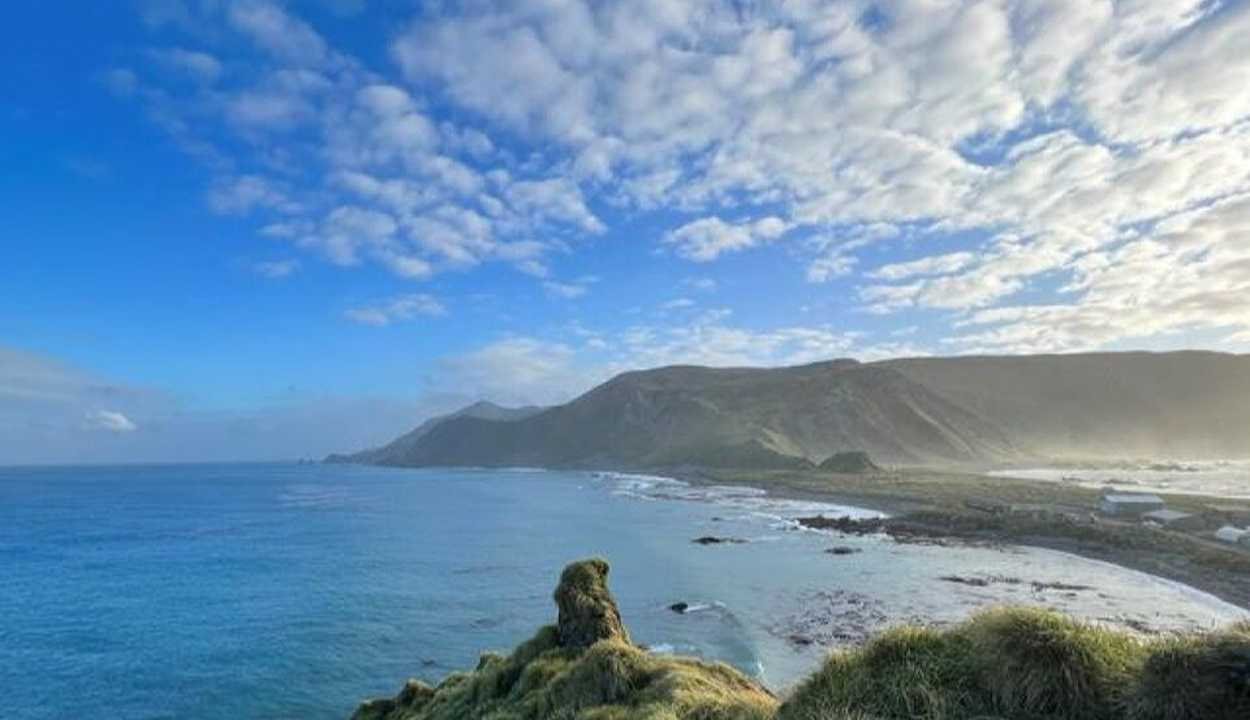 Macquarie island