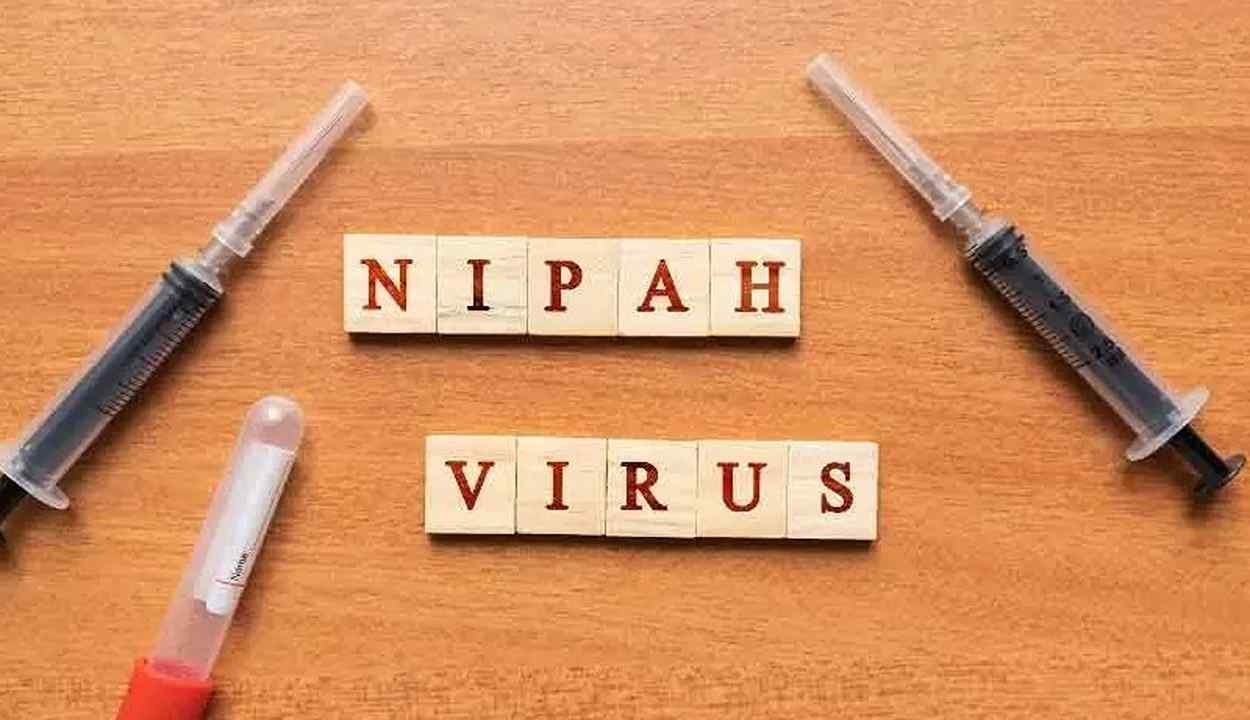 Nipah virus