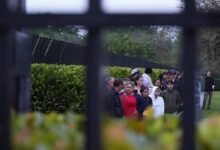 The system strikes back