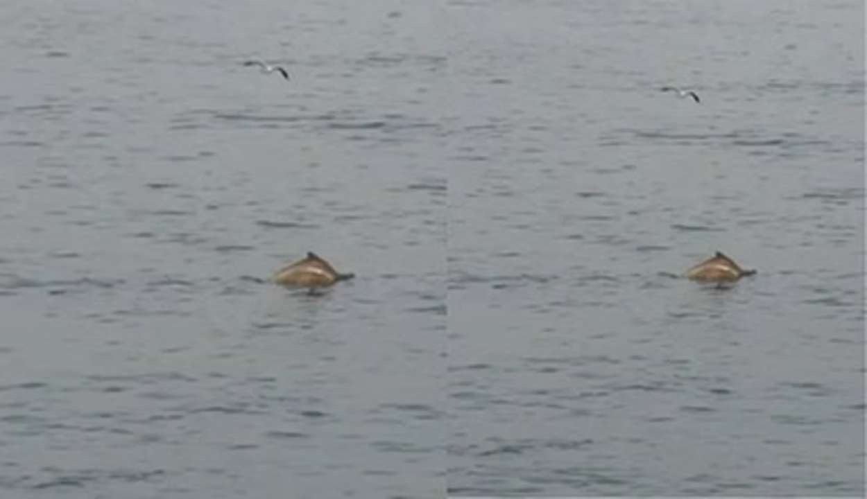 Mumbai’s quiet coastal surprise